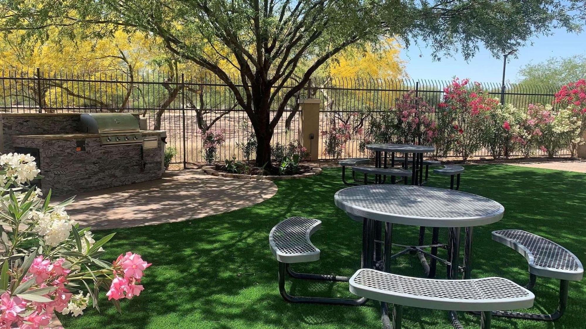 Country Inn & Suites By Radisson, Tucson City Center Az Eksteriør billede